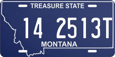 MT license plate 142513T