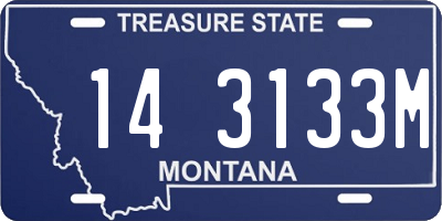 MT license plate 143133M