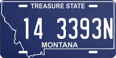 MT license plate 143393N
