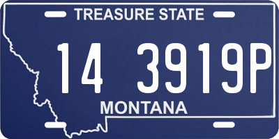 MT license plate 143919P