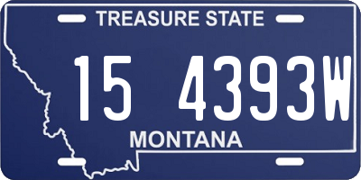 MT license plate 154393W