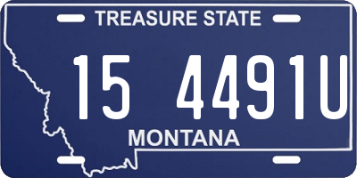 MT license plate 154491U