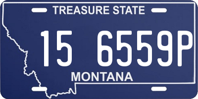 MT license plate 156559P