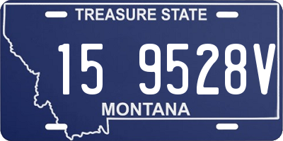 MT license plate 159528V