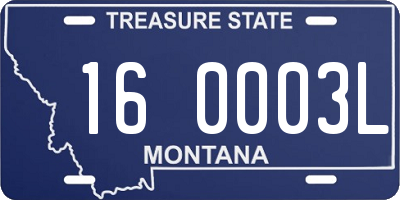 MT license plate 160003L