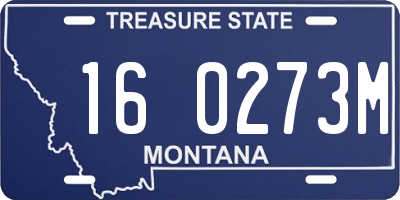 MT license plate 160273M