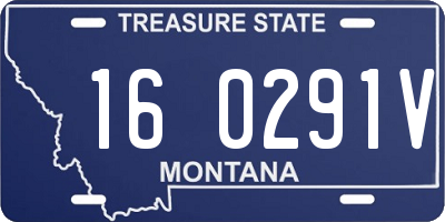MT license plate 160291V