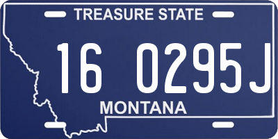 MT license plate 160295J