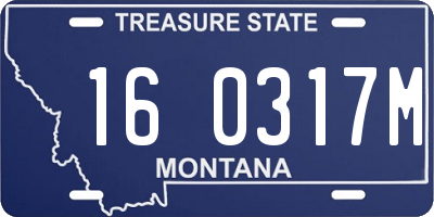 MT license plate 160317M