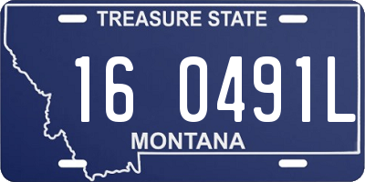 MT license plate 160491L