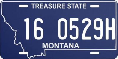 MT license plate 160529H