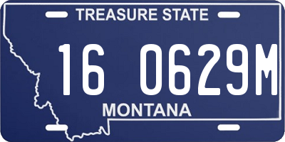 MT license plate 160629M