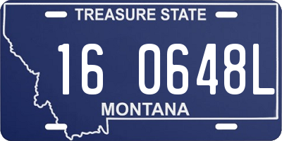 MT license plate 160648L