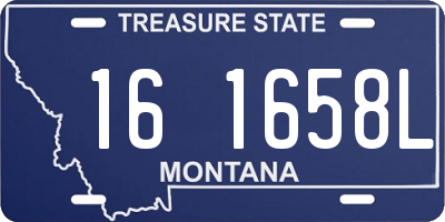 MT license plate 161658L