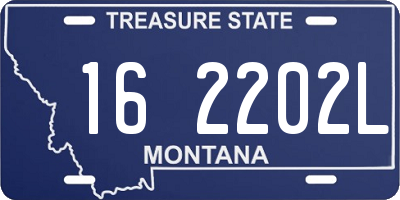MT license plate 162202L