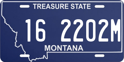 MT license plate 162202M