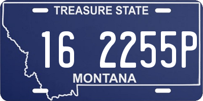 MT license plate 162255P