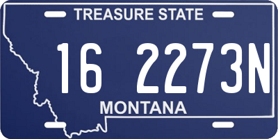 MT license plate 162273N