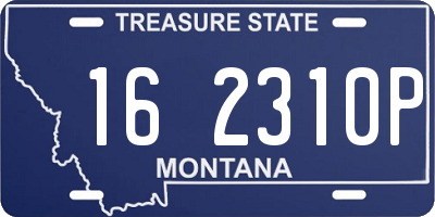 MT license plate 162310P