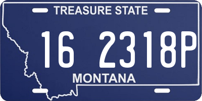 MT license plate 162318P