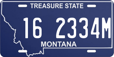 MT license plate 162334M