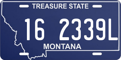 MT license plate 162339L