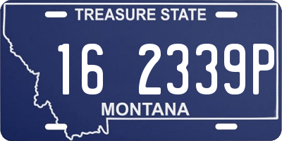 MT license plate 162339P