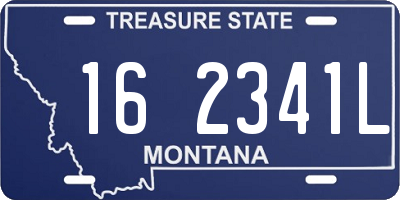 MT license plate 162341L