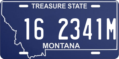 MT license plate 162341M