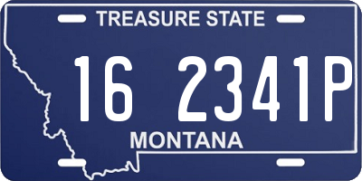MT license plate 162341P