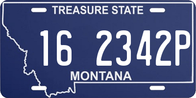 MT license plate 162342P