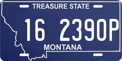 MT license plate 162390P
