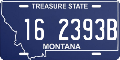 MT license plate 162393B