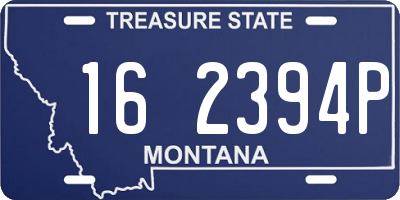 MT license plate 162394P