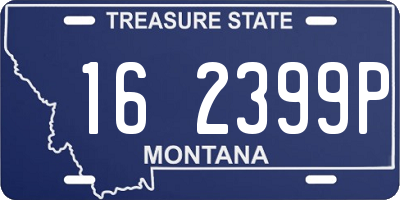 MT license plate 162399P