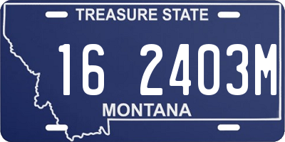 MT license plate 162403M
