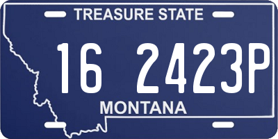 MT license plate 162423P