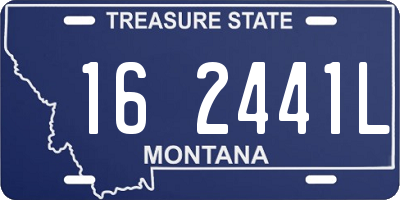 MT license plate 162441L