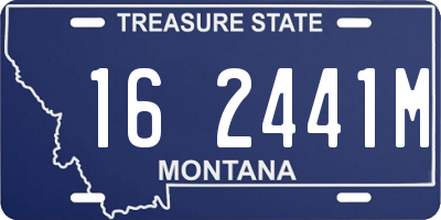 MT license plate 162441M