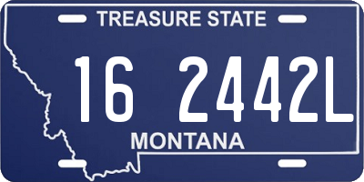 MT license plate 162442L
