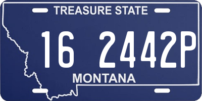 MT license plate 162442P