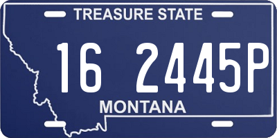 MT license plate 162445P