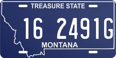 MT license plate 162491G