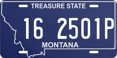 MT license plate 162501P