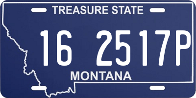 MT license plate 162517P