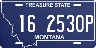 MT license plate 162530P