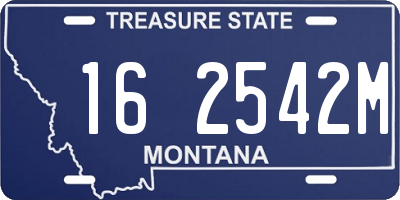 MT license plate 162542M