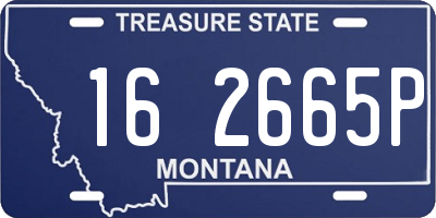 MT license plate 162665P