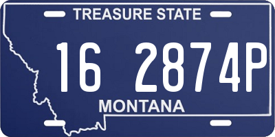 MT license plate 162874P