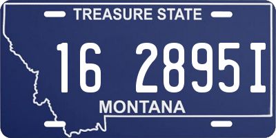 MT license plate 162895I